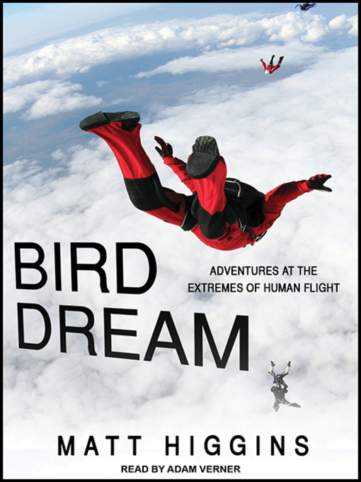 Title details for Bird Dream by Matt Higgins - Wait list